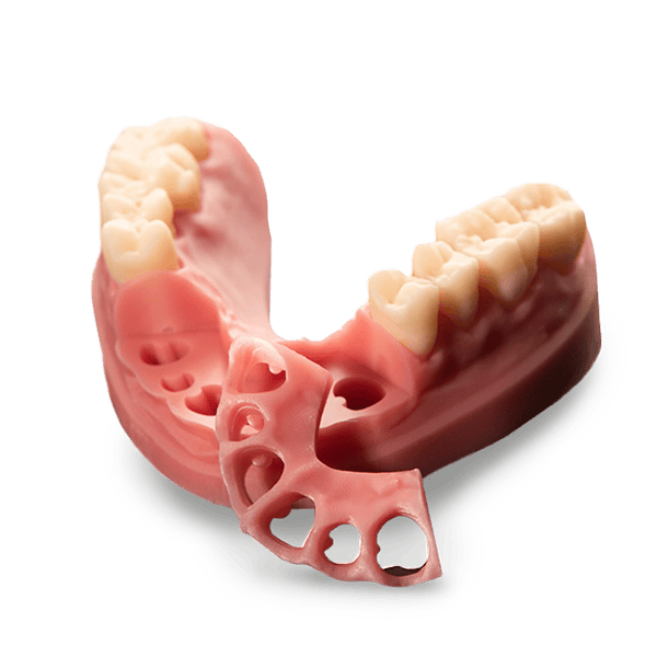 Image of 3D printed dental models using RS VIVO Model Natural Pink